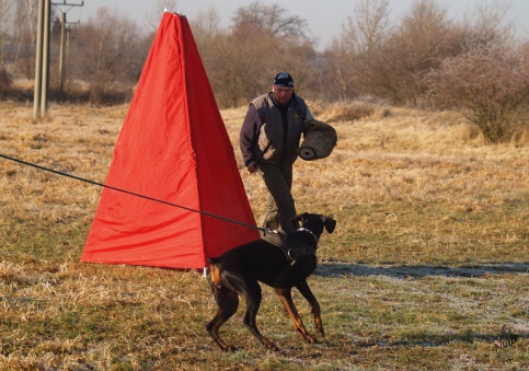 The christmas training 27.12.2006